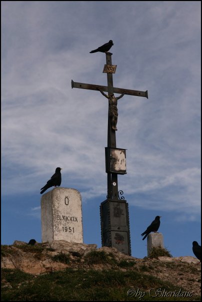 Sonntagshorn025.jpg