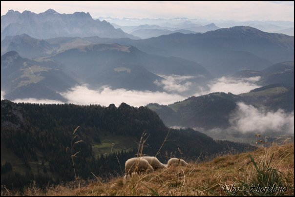 Sonntagshorn032.jpg