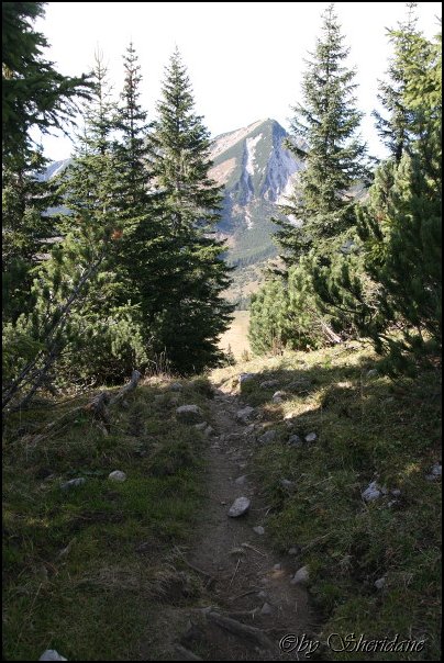 Sonntagshorn052.jpg