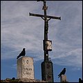 Sonntagshorn025.jpg