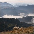 Sonntagshorn032.jpg