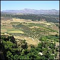 Andalusien079.jpg