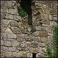 Suedengland036.jpg