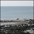 Suedengland073.jpg