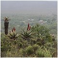 Suedafrika122.jpg