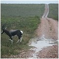 Suedafrika127.jpg
