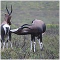 Suedafrika128.jpg