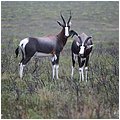Suedafrika129.jpg