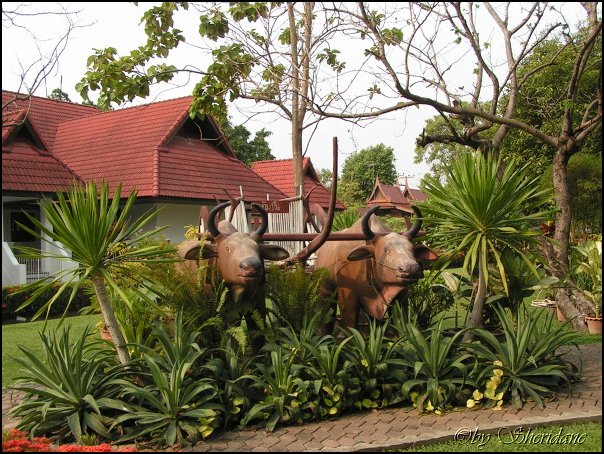 Thailand158.jpg