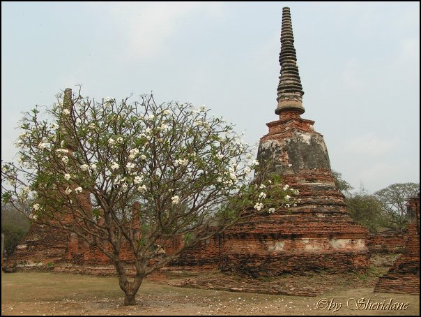 Thailand164.jpg