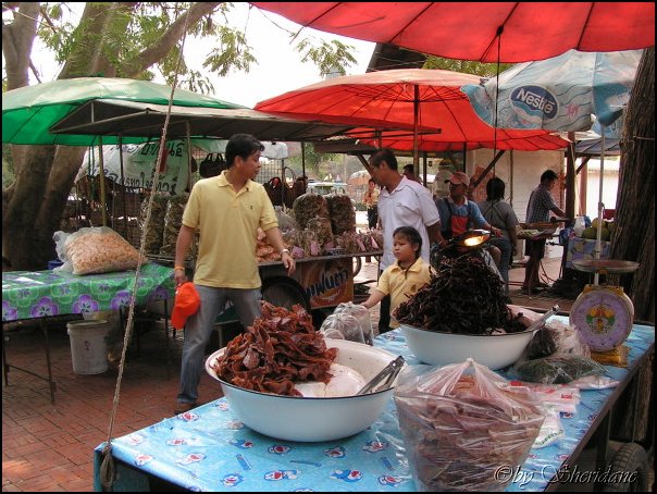 Thailand165.jpg