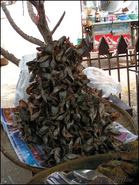 Thailand168.jpg