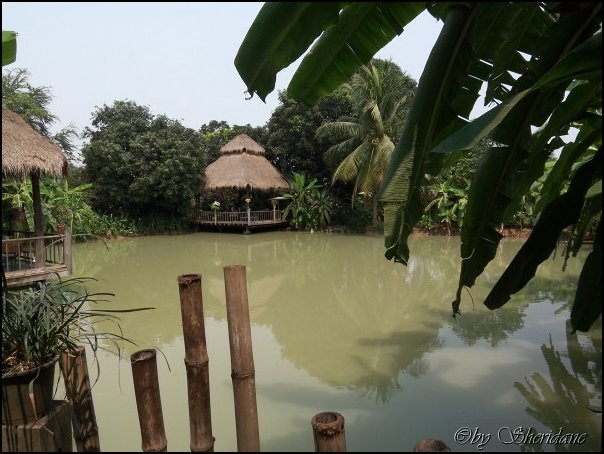 Thailand173.jpg