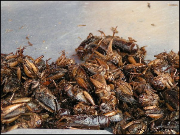 Thailand176.jpg