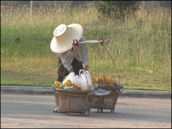 Thailand186.jpg