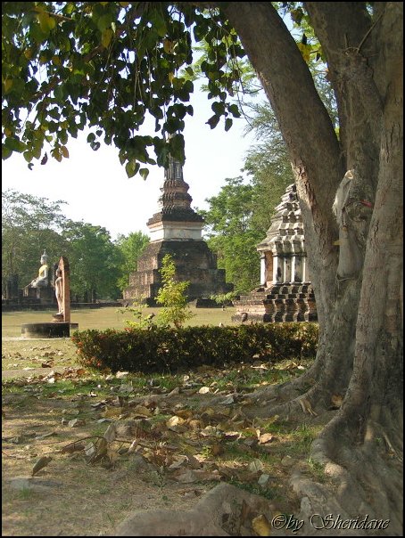 Thailand203.jpg