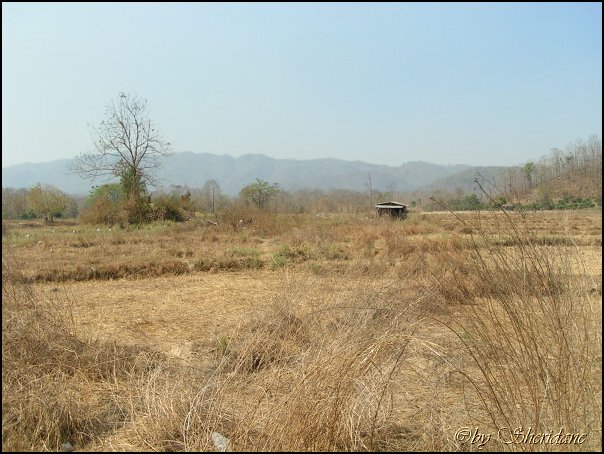 Thailand209.jpg