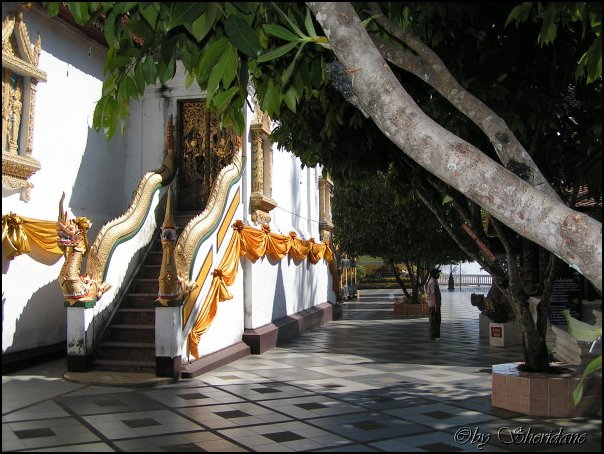 Thailand231.jpg