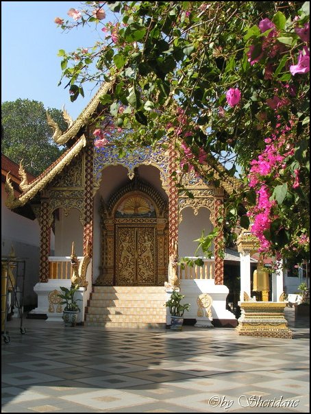 Thailand238.jpg