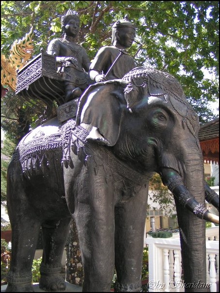 Thailand240.jpg