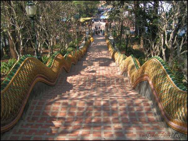 Thailand241.jpg
