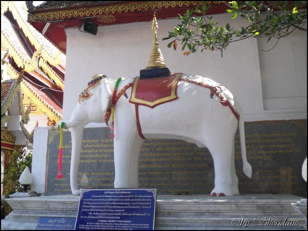 Thailand242.jpg