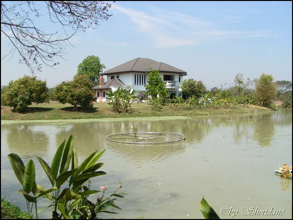 Thailand243.jpg