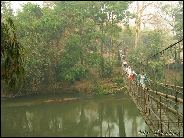Thailand254.jpg