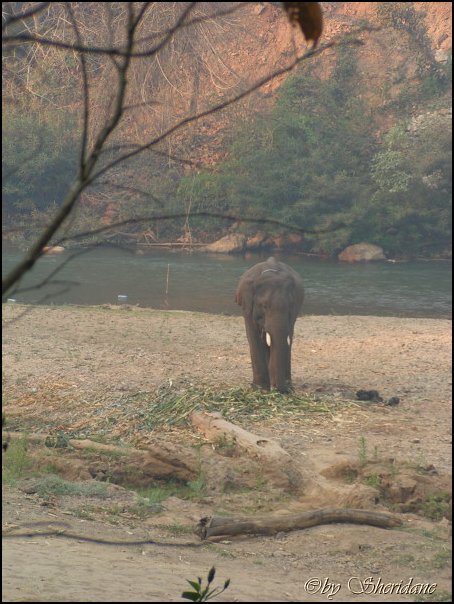 Thailand255.jpg