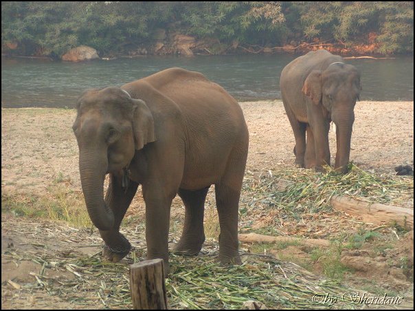 Thailand256.jpg