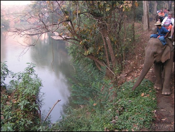 Thailand260.jpg