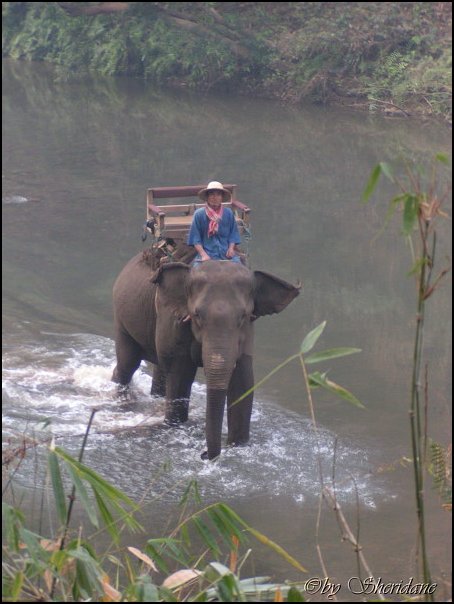 Thailand261.jpg