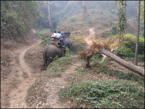 Thailand262.jpg