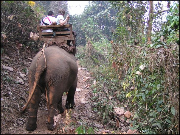 Thailand264.jpg