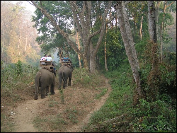 Thailand267.jpg