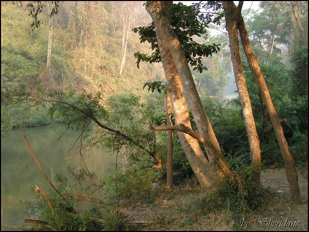 Thailand269.jpg