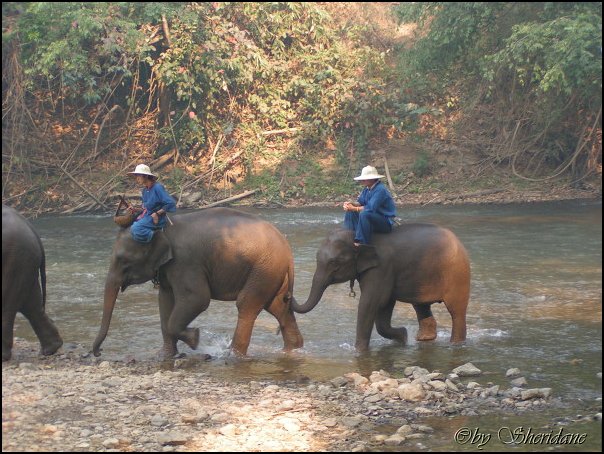 Thailand275.jpg