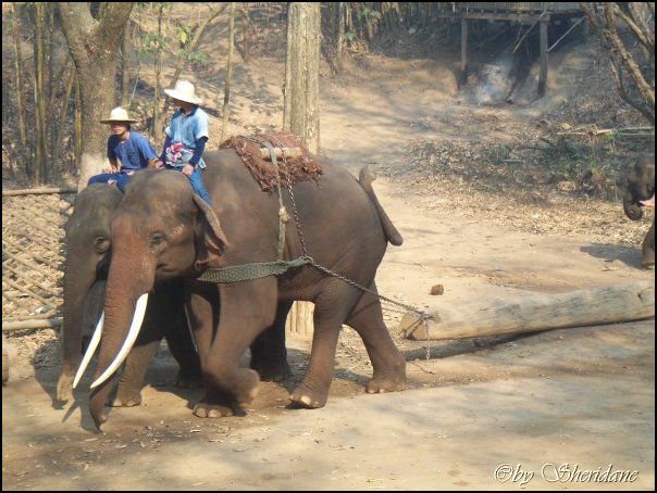 Thailand277.jpg