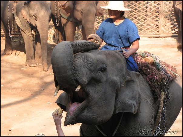Thailand278.jpg