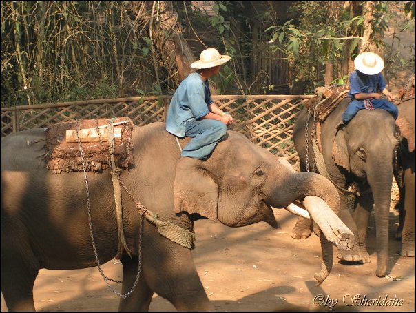 Thailand279.jpg