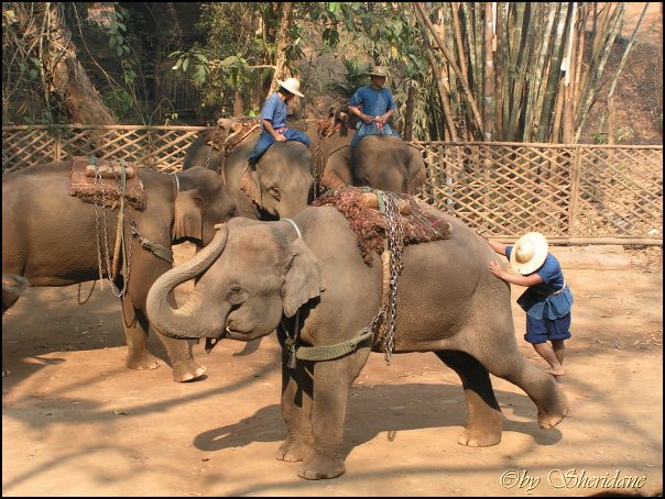 Thailand280.jpg