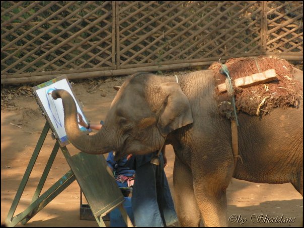Thailand281.jpg