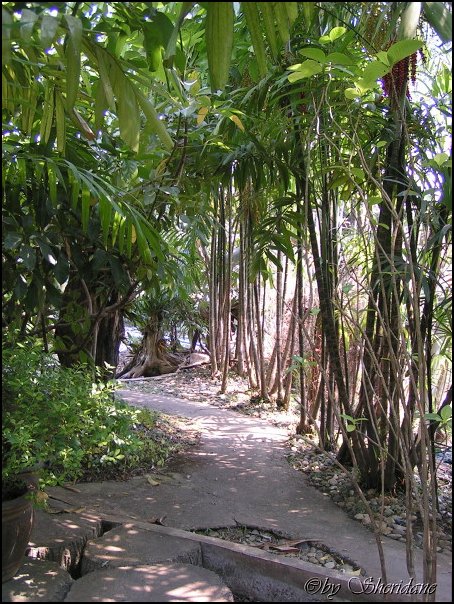 Thailand294.jpg