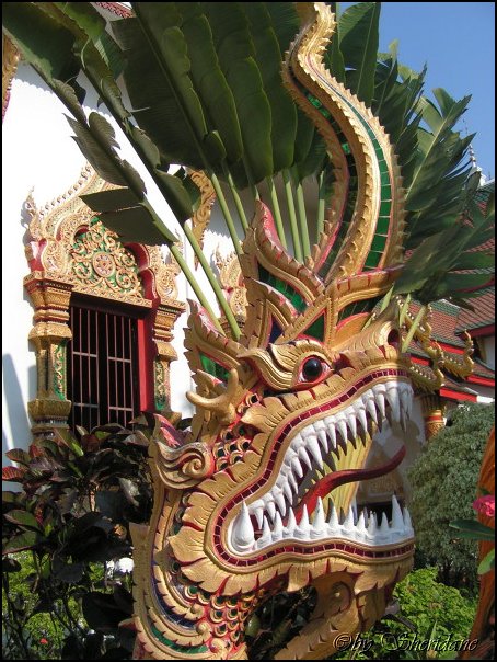 Thailand306.jpg