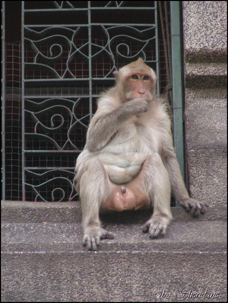 Thailand327.jpg