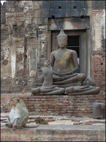 Thailand332.jpg