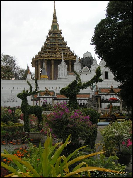 Thailand334.jpg