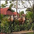 Thailand158.jpg