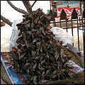 Thailand168.jpg