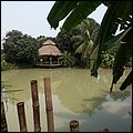 Thailand173.jpg